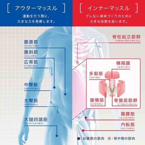 体幹 トレーニング 器具 水 自宅 タイカンストリーム アドバンス Taikan Stream Advance 体幹ストリーム Buyee Buyee 日本の通販商品 オークションの代理入札 代理購入