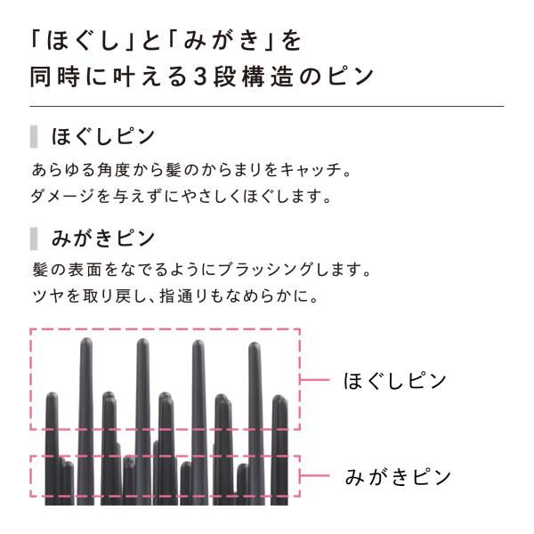 mtgec_888888002y_5_d_20250424142214