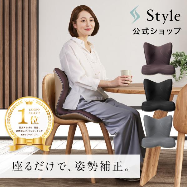 Style PREMIUM MTG 姿勢矯正 腰痛 骨盤サポートチェア 座椅子-