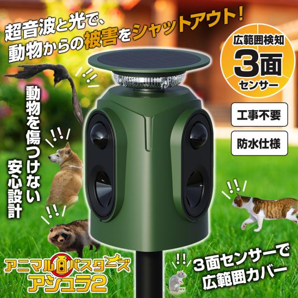mtkshop_amb-04_1_d_20251224145847