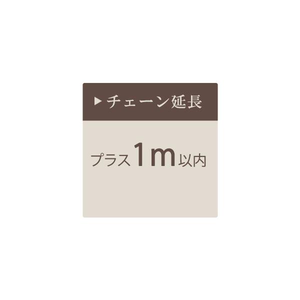 シャンデリア チェーン延長 +5cm以上1m以内 : 照明専門店 MU-RA Online