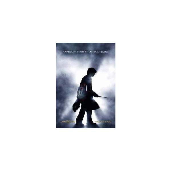 ハリーポッター/炎のゴブレット/ハリー ポスター【FF-5095】 : ムー