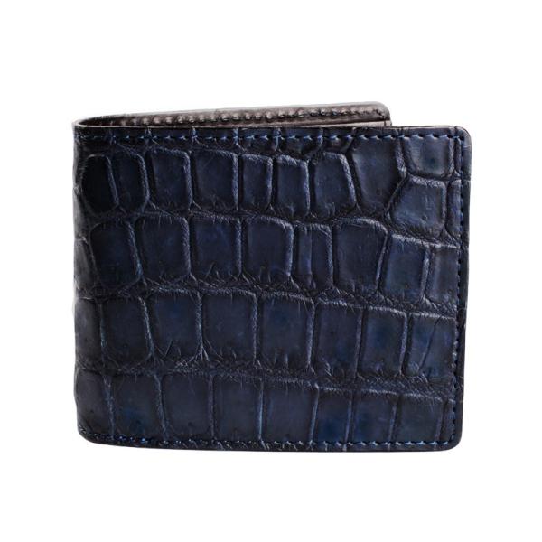 ܂z / NR_Cz lCr[u[ /C^AU[ ubN FUSION