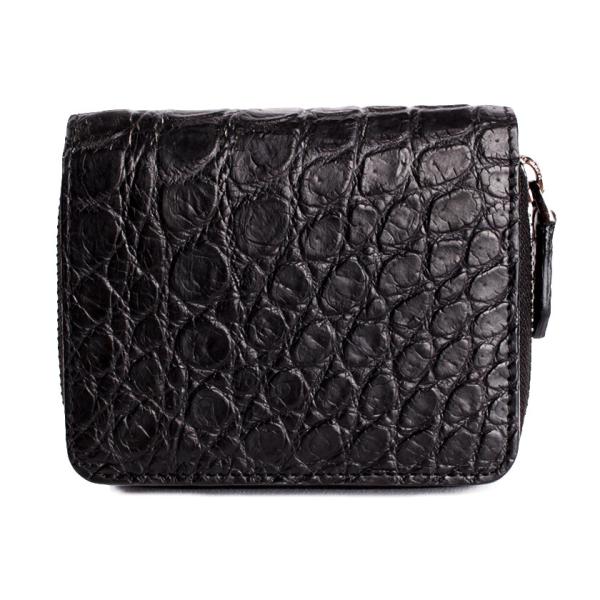 Eht@Xi[܂z / NR_Cz ubN /C^AU[ lCr[ FUSION