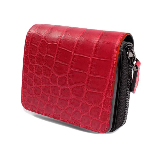 Eht@Xi[܂z / NR_Cz }[^sN /C^AU[ ubN FUSION