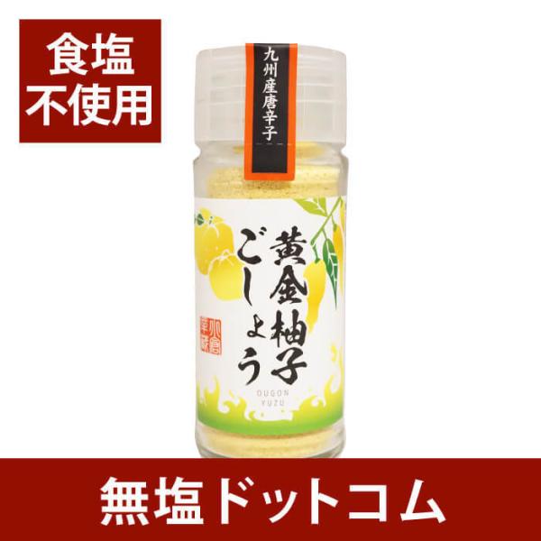 無塩 調味料 食塩不使用 ゆずごしょう 辛口15g 減塩 中の方にも お歳暮 お歳暮ギフト お歳暮プレゼント