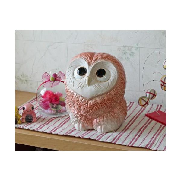 My tNE u u 6.5 sN ӂ낤   k IuWF   킢 ̓ N v[g Mtg MyĂ(MB101-09G)