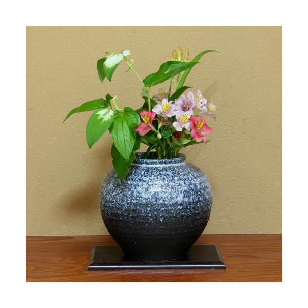 My ԕr q i  8  ֑}  ԓ k  Ԃт Ԋ t[x[X MyĂ(MB010-07G)