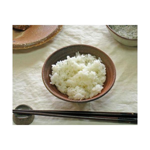 My q  ΐFі  H 킢 q  ђq [ ֗ јq q v[g Mtg MyĂ Ă ₫(lea)