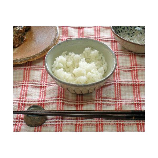 My q   킬  H 킢 q  ђq [ ֗ јq q v[g Mtg MyĂ Ă ₫(lea)