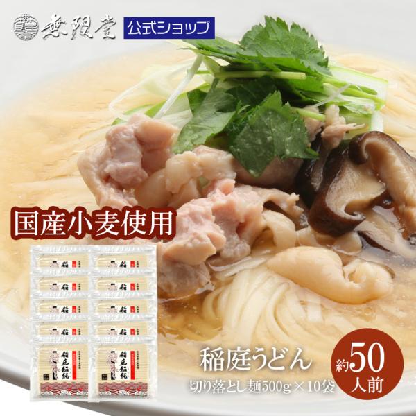 無限堂 稲庭うどん【ゆめ飛龍】お徳用切れ端麺 500g×10袋(約50人前)北海道産小麦100%使用稲庭うどん ポスト投函 訳あり