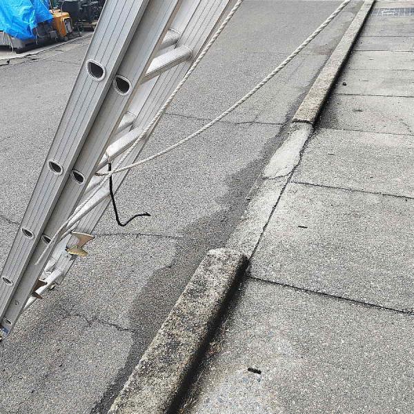 mugendou-z_1100000096763_4_d_20260304105931