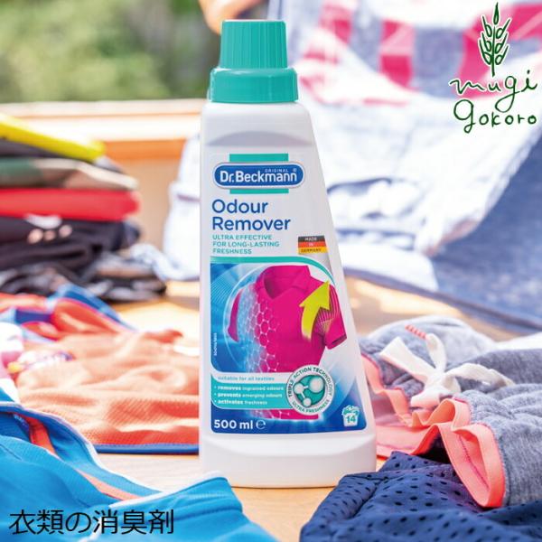 hN^[xbN} ߗނ̏L Ih[o[ 500ml wzʓT Y Ki  TXiu TXeBiu GR VR