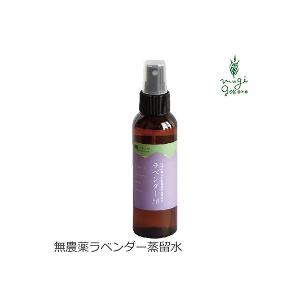 Chc[ t[EH[^[ Y wildtree Cim@n[uEH[^[ x_[ 120ml I[KjbN ϐ mP~J