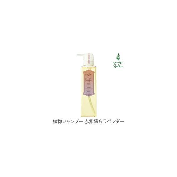 {kvc Vv[ Y Bonne Plantes XEB[c\[p[ {kvcV[Y Vv[ Ԏh&amp;x_[ 300m mVR