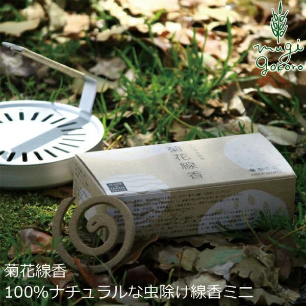 X^CWp   ˂ IWieԐ ی^~jTCY(32) wzʓT Y Ki  TXiu