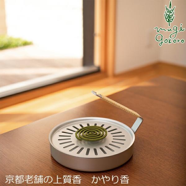 X^CWp   ȏȂ荁 5iex[Xj wzʓT Y Ki  TXiu