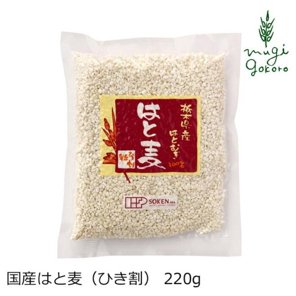 ͂Ɣ Y͂ƔiЂj 220g n wzʓT Ki  i` VR Y svȐHiY wsgp RHi