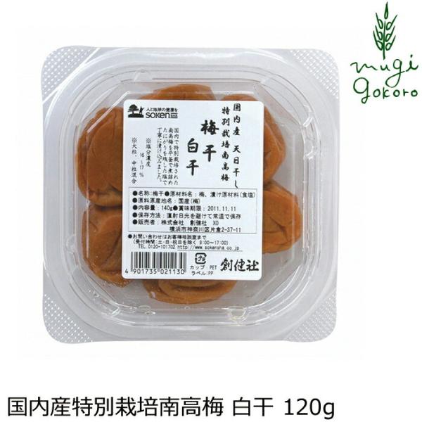 ~ n Yʍ͔|썂~  120g wzʓT Ki i` VR Y svȐHiY wsgp RHi