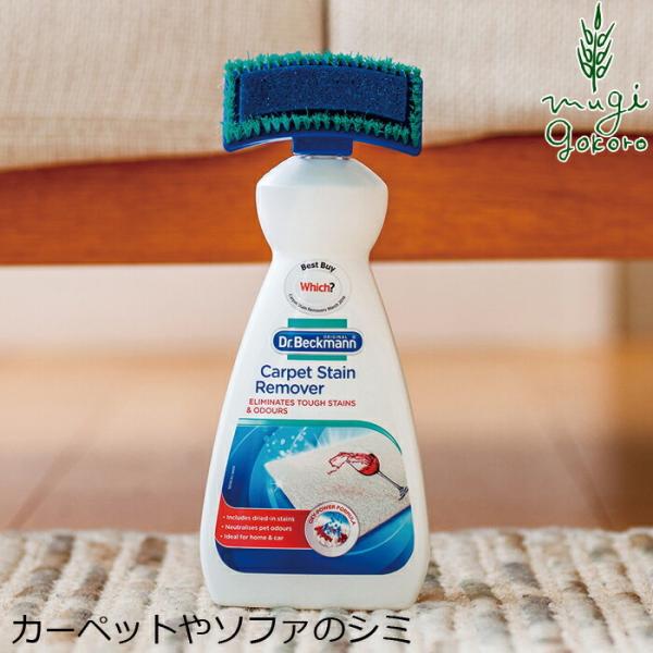 hN^[xbN} J[ybg \t@̃V~EꗎƂ J[ybg XeC[o[ 650ml wzʓT Y Ki  TXiu