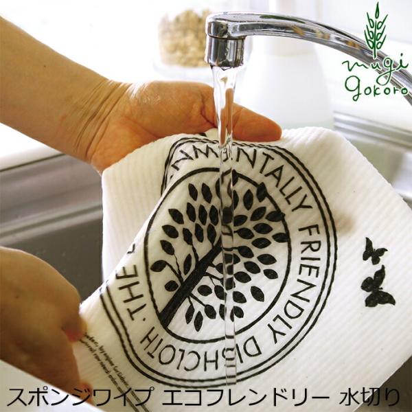 GRtH[gnEX z X̂ӂ X|WCv }AEz}[E_[O GRth[ ؂ I[KjbN Y