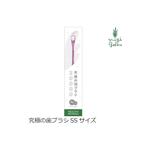 wV[Aj}Y uV  L ɂ̎uV SSTCY ^ ^p Vg̉HuV wzʓT Ki VR