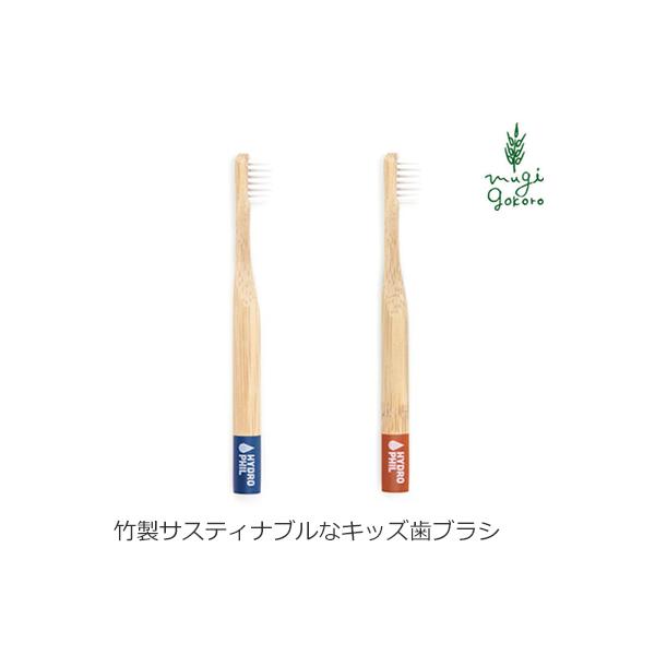 nChtB uV I[KjbN TXeBiu LbY gD[XuV wzʓT Y Ki  f^PA