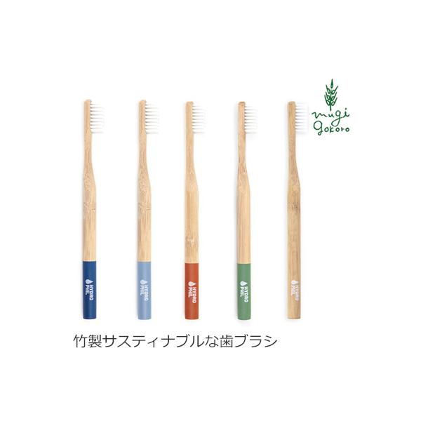 nChtB uV I[KjbN TXeBiu gD[XuV wzʓT Y Ki  f^PA ݂