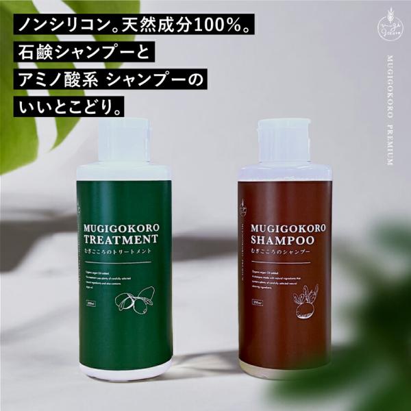 ヘアケアセット ノンシリコン むぎごころのアルガンシャンプー・トリートメントのセット 各200ml 購入金額別特典あり 正規品 オーガニック 無添加 送料無料 ア…