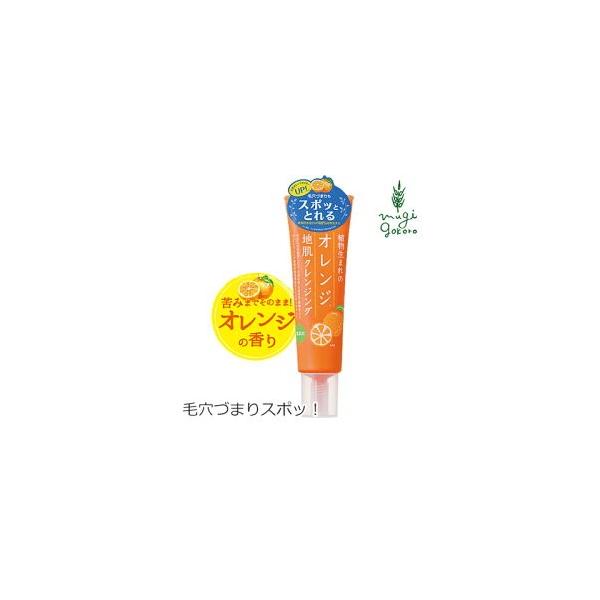 植物生まれ （オレンジ） 頭皮 クレンジング 無添加 植物生まれのオレンジ地肌クレンジングN 130g 送料無料 頭皮ケア 地肌ケア ノンパラベン
