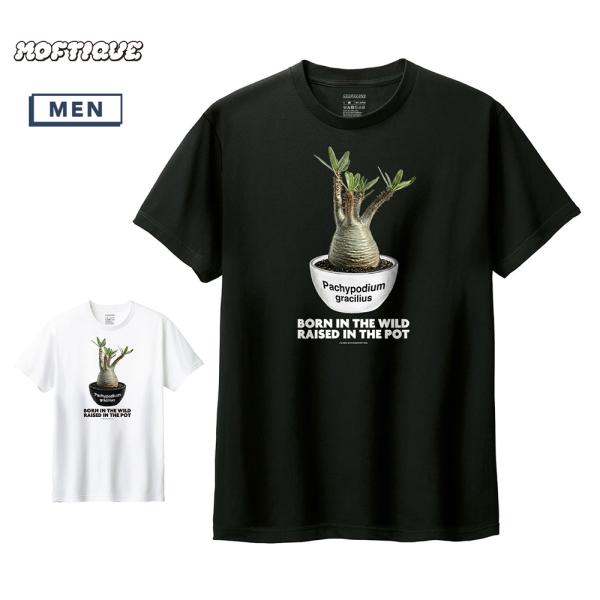 Moftique（モフティック） 半袖Tシャツ パキポディウム グラキリス コーデックス 塊根植物 多肉植物 プリント トップス カットソー メンズ ユニセックス 夏