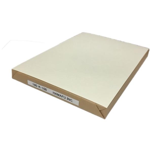NO.190K-100  \ʉH ʖn A4TCYEnKL {X 130kg y100z