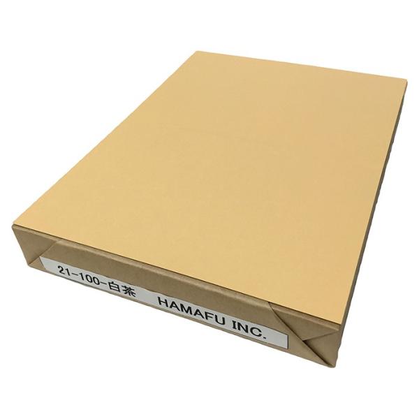 NO.21-100  nKLdlʔFnnKLE IBF㎿E (200x148) y100z