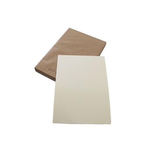 NO.333i-100  A4TCY(210x297) AC{[FʖnnKL y100z ɏʂ̑DMɃIXXłB