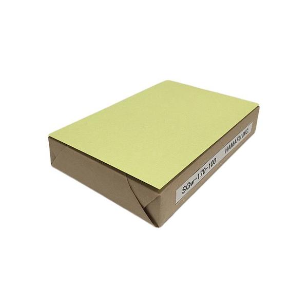 NO.SG170W-100   킳 170kg aʖnnKL 100 (100mmX148mm)