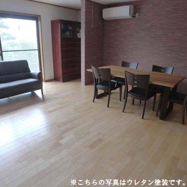 [v j v~At[Oyhz15×90×1820:MP1UM10y1.64m2/0.5؁z