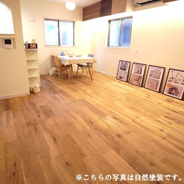 I[Niij  Cht[Oyhz15×150×rdm:OK2LMy1.62m2/0.49؁z