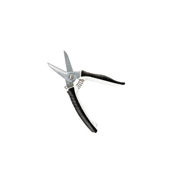 ^W} obgP[u DK-BB50 dH͂ dCݔHpnT~ obgoT~ Tajima