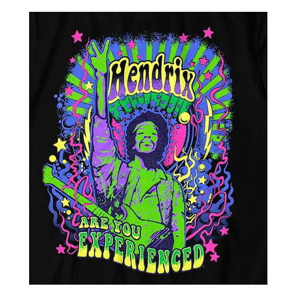 ジミヘンドリックス Jimi Hendrix ©1995 ロック バンドTシャツ 90s / Vintage ロックT 】JIMI HENDRIX / ジミ・ヘンドリックス