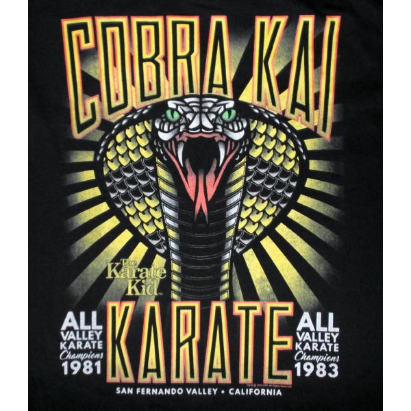 �x�X�g �L�b�h T�V���c �R�u���� THE KARATE KID COBRA KAI Tattoo ���K�i