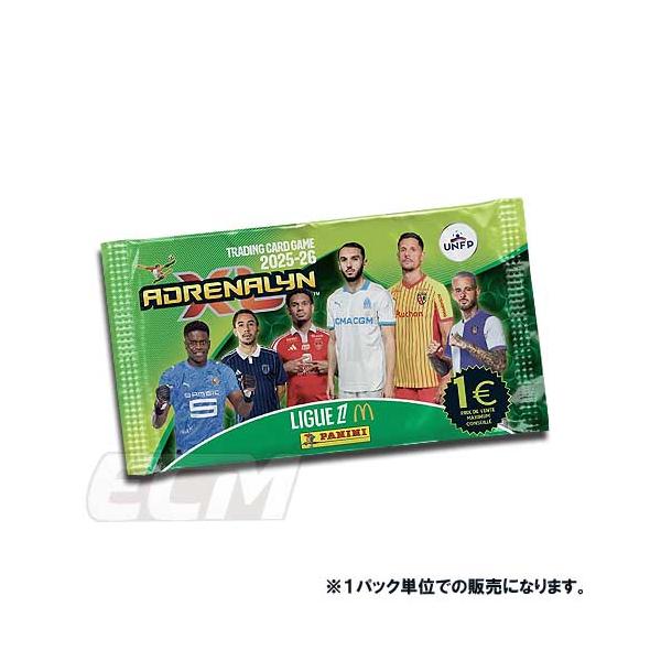 フランスリーグ1 ピンバッチセット リーグアン Ligue 1 LFP サッカー