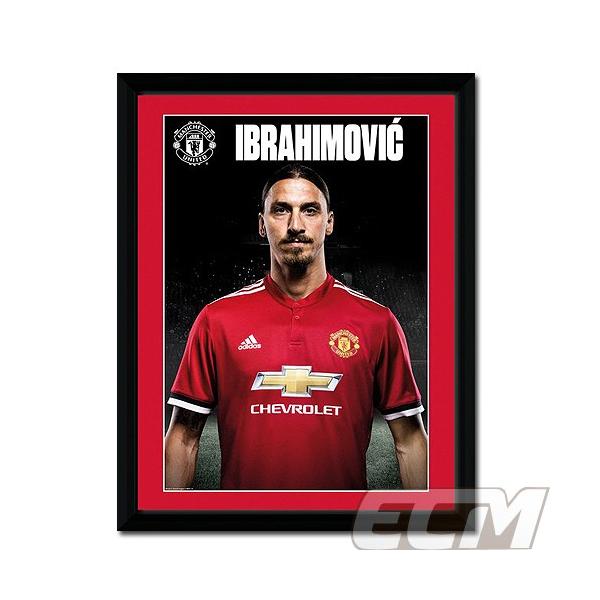 �y�T�b�J�[ �}���`�F�X�^�[UTD�z�y�����������z�C�u���q���r�b�` �}���`�F�X�^�[UTD 17-18�V�[�Y�� �z����t�H�g(PFC2812) FTO01