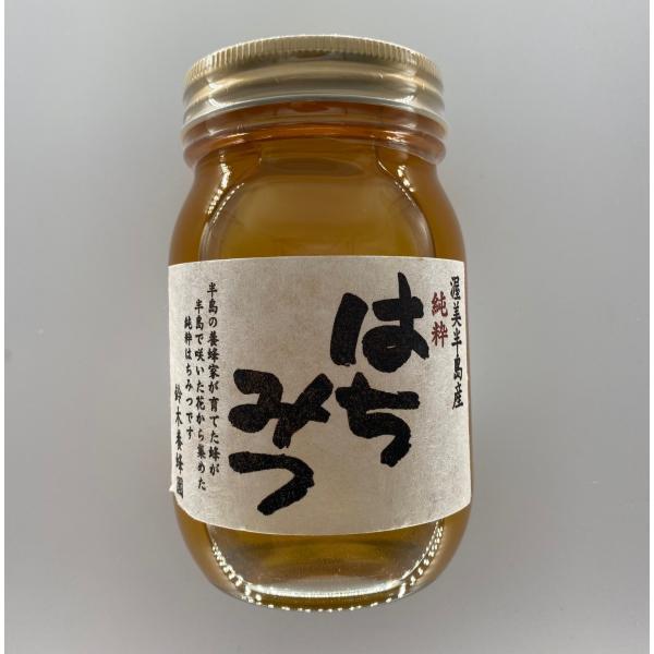 はちみつ　クロガネモチ　600g入り　徳用