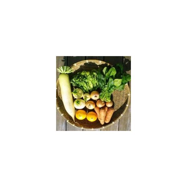 無農薬無肥料の野菜・果物6-8品目、小家族向け（2-3人）　出荷日は毎週月曜日と木曜日のみ　　定期購入会員になるとセットが安くなります。出荷の締切日にご注意下さい。