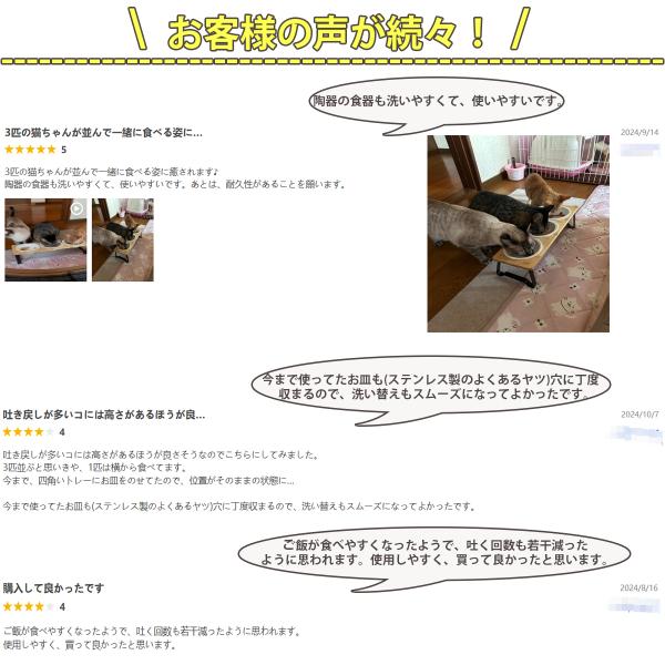 murakami-store_pettableware_1_d_20241011151635