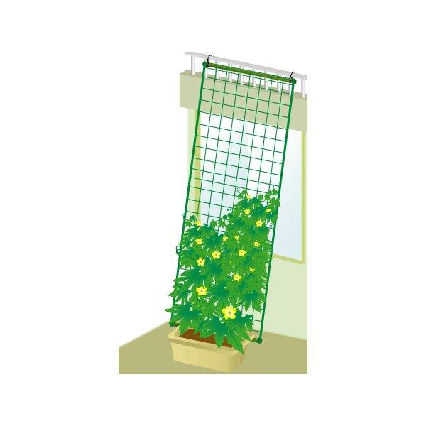ここがポイント！●吊り下げタイプの5mなので2階まで緑のカーテン効果が期待できます。●アサガオ、クレチマスなどのつる性植物に最適です。●真夏のエアコン使用を抑えることができ、20％〜30％の省エネ効果が期待できます。●赤外線を反射し、葉の気...