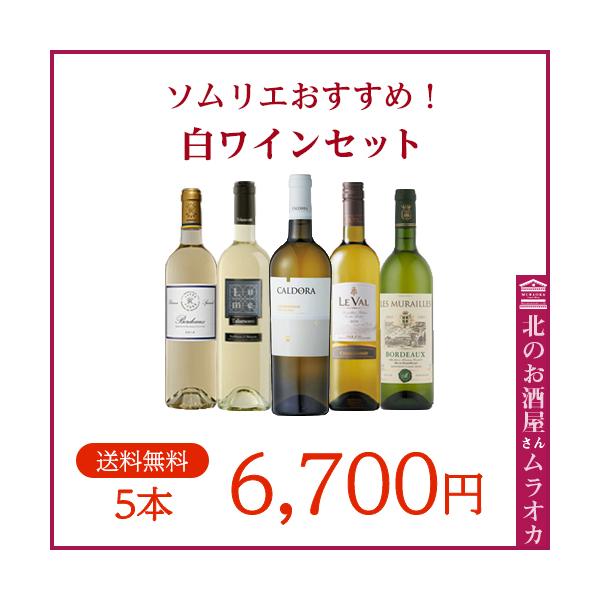 送料無料 ソムリエおすすめ！ 白ワイン5本セット