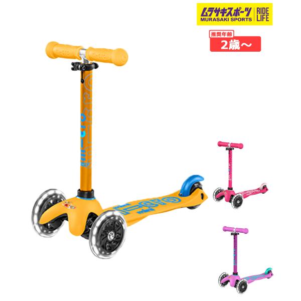 murasaki_l28092103619986