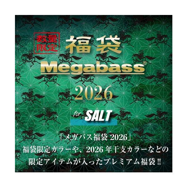 Megabass/メガバス 2026福袋 SALT SET : NEXT! - 通販 - Yahoo
