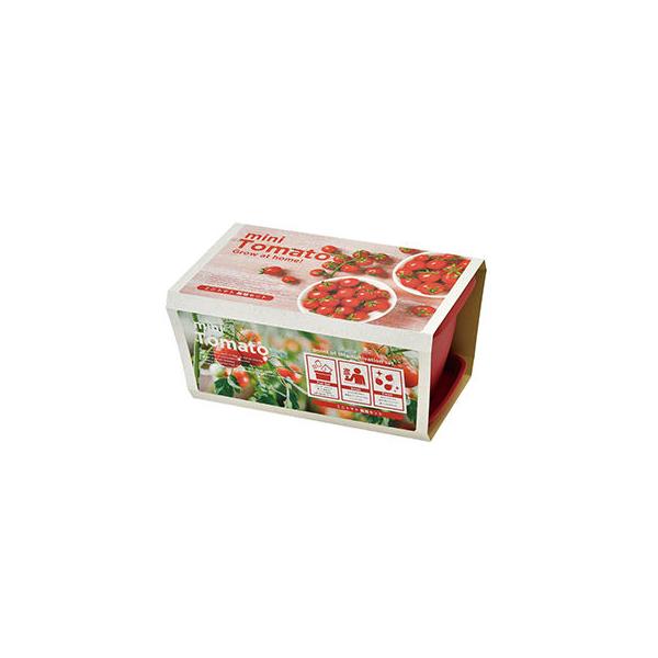 栽培キット 野菜 花 聖新陶芸 エンジョイプランター ベジ フラワー